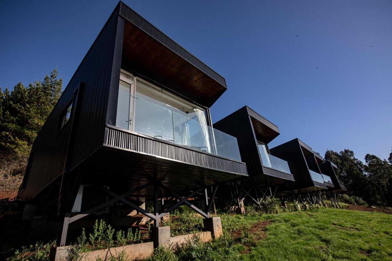 Pura Lodge Concepción Exterior foto